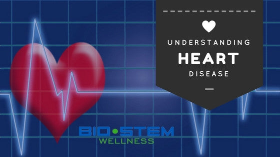 Understanding heart disease