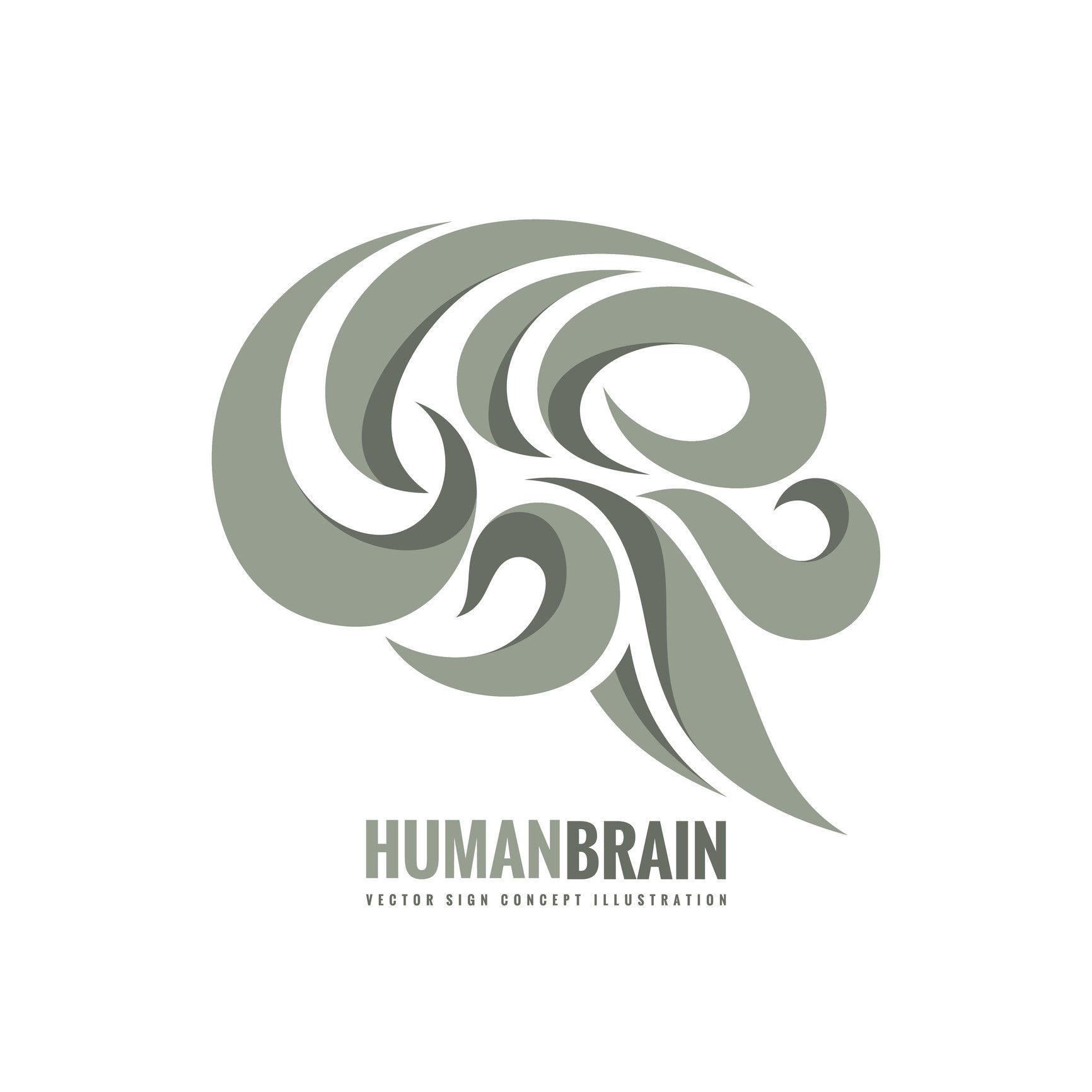 human brain in abstract